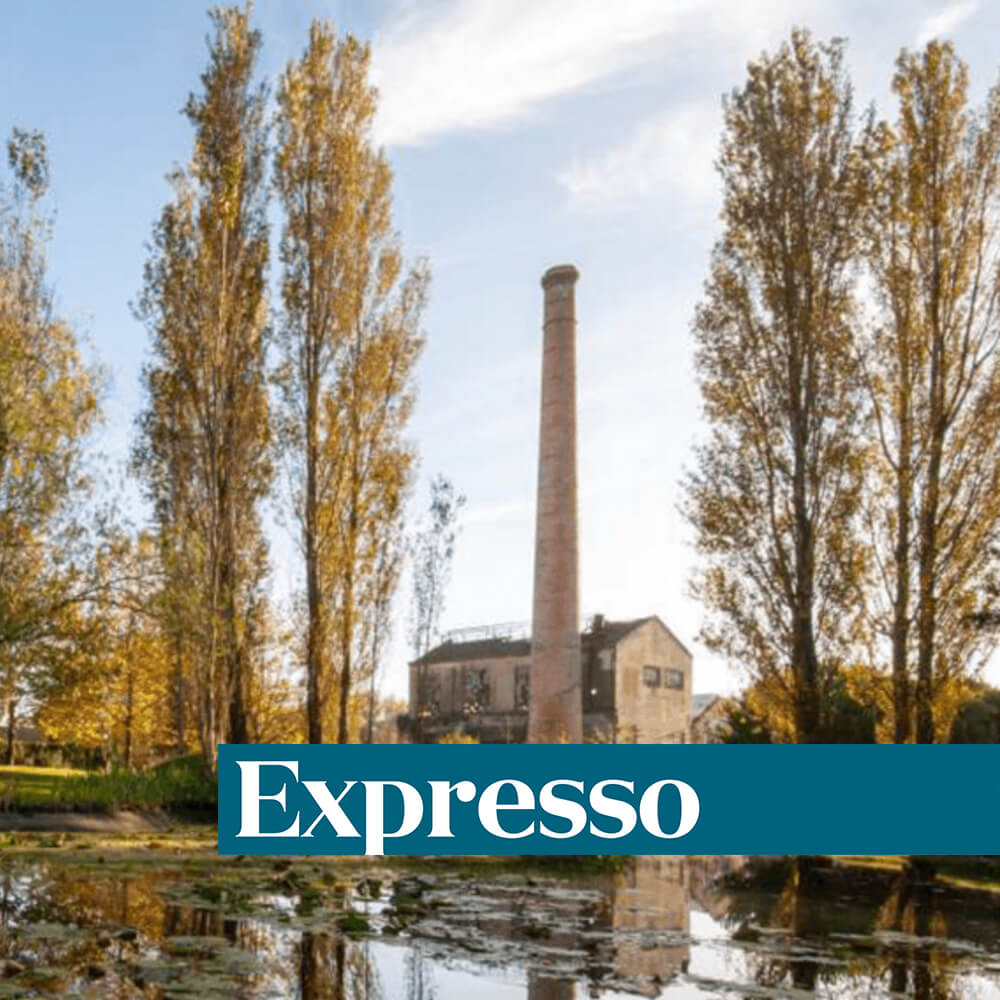 A cidade de Belmiro de Azevedo volta a crescer na velha Efanor